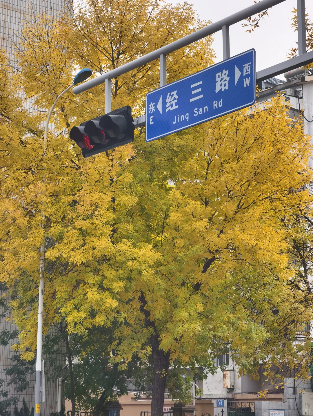 老舍没骗人秋天请到济南来看看吧