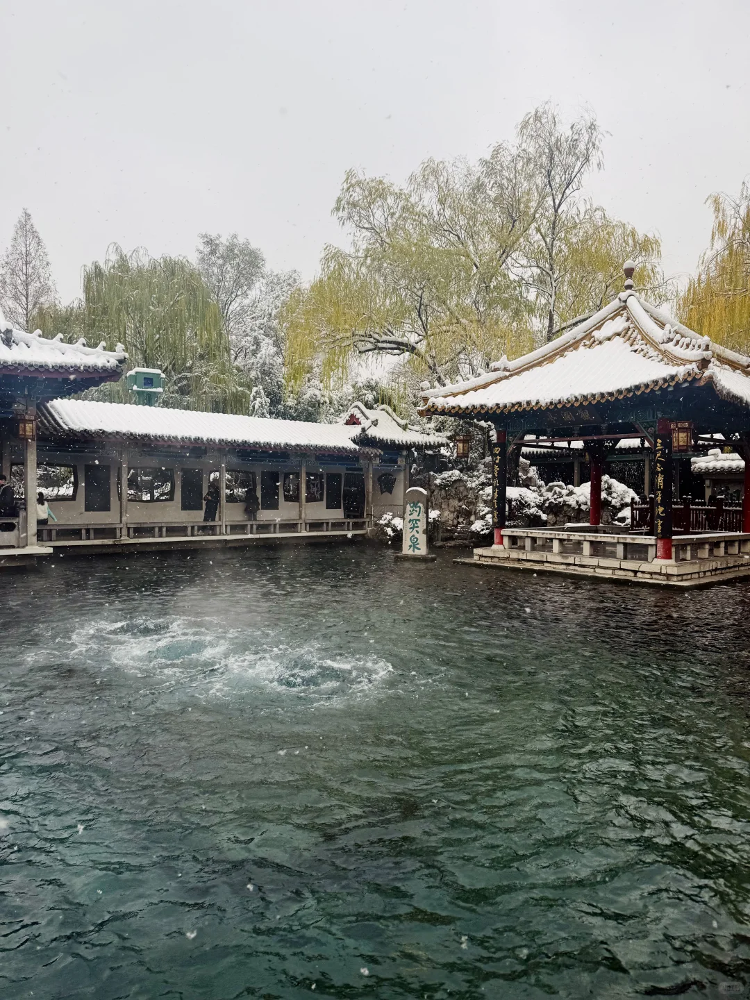 济南12.13实况，雪后的趵突泉美疯了！！！