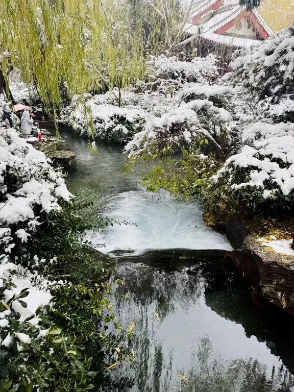 济南12.13实况，雪后的趵突泉美疯了！！！