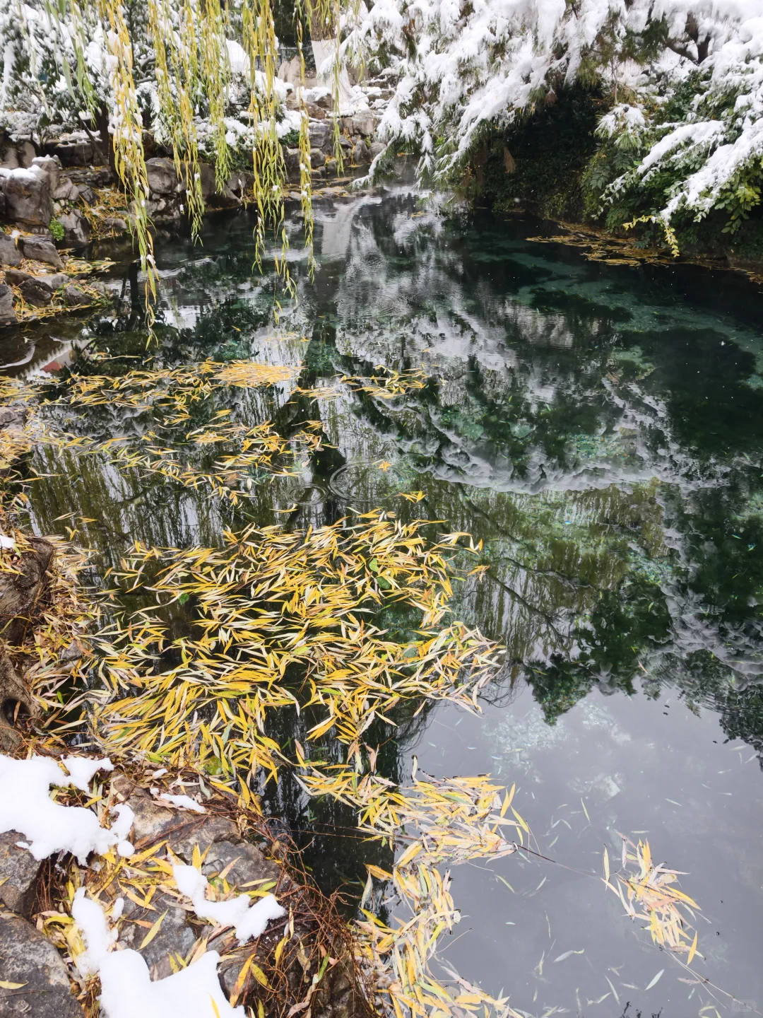 雪中趵突泉，美疯了