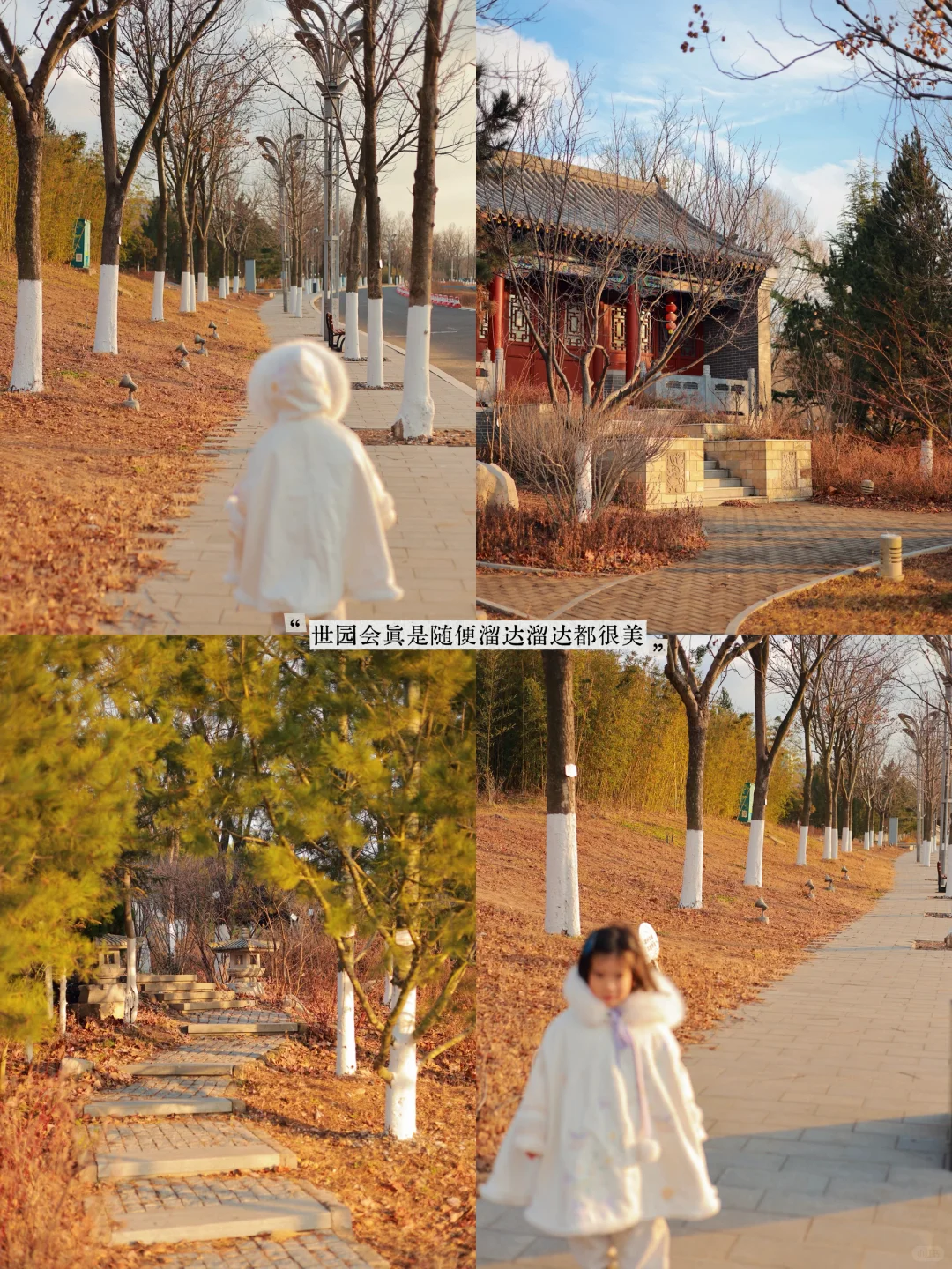 青岛·藏在世园会的教育基地