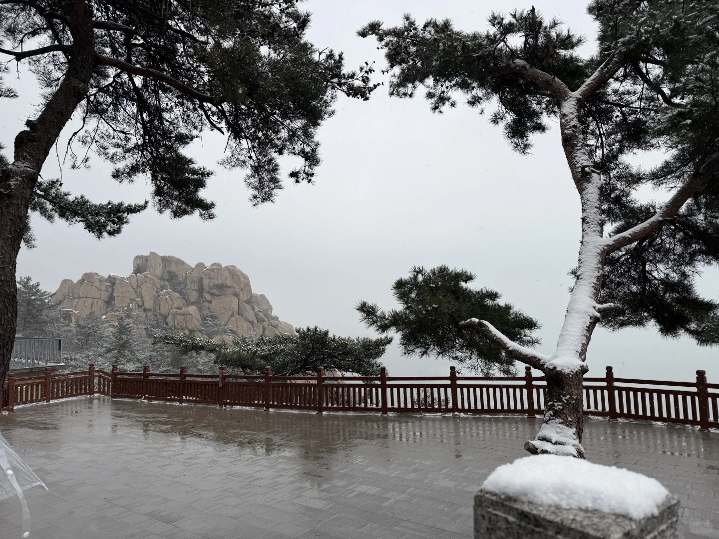 青岛三天两夜懒人路线｜老城·山海·松弛感