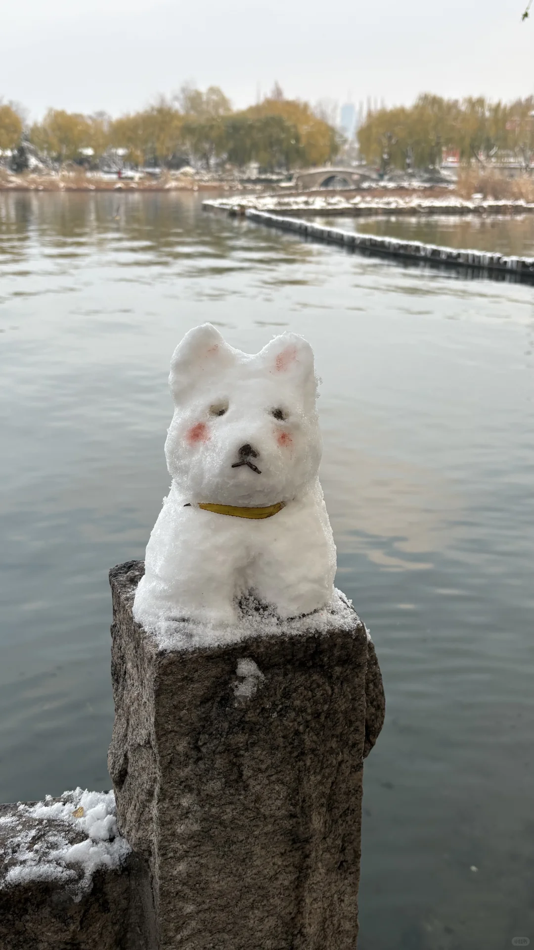 济南大明湖 大家真的太可爱了