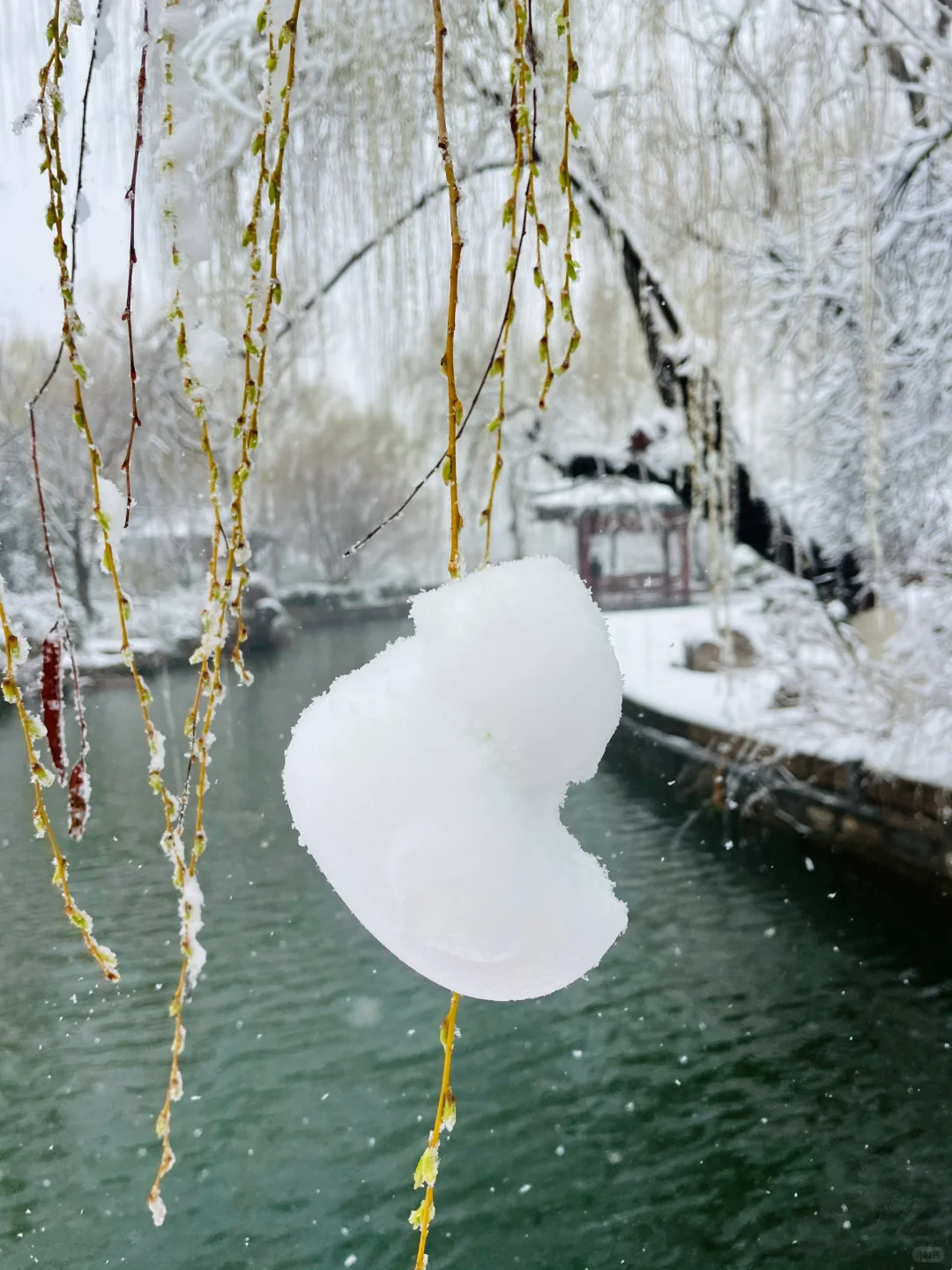 暴雪中的济南府已经美到了next level