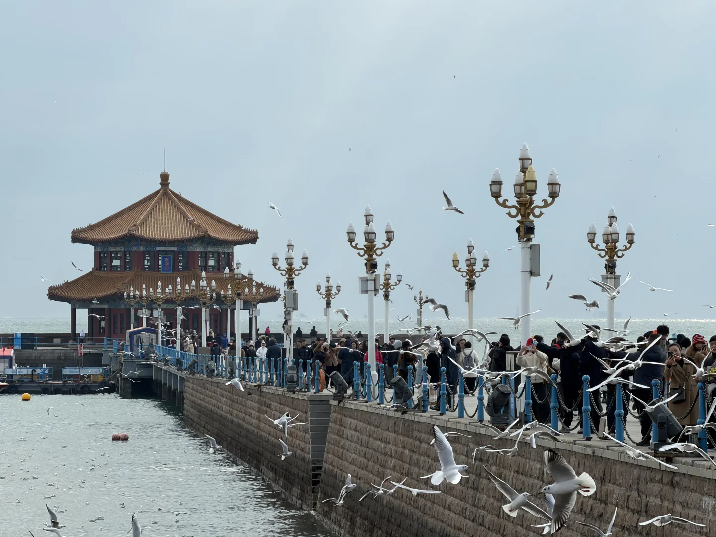 青岛三天两夜懒人路线｜老城·山海·松弛感