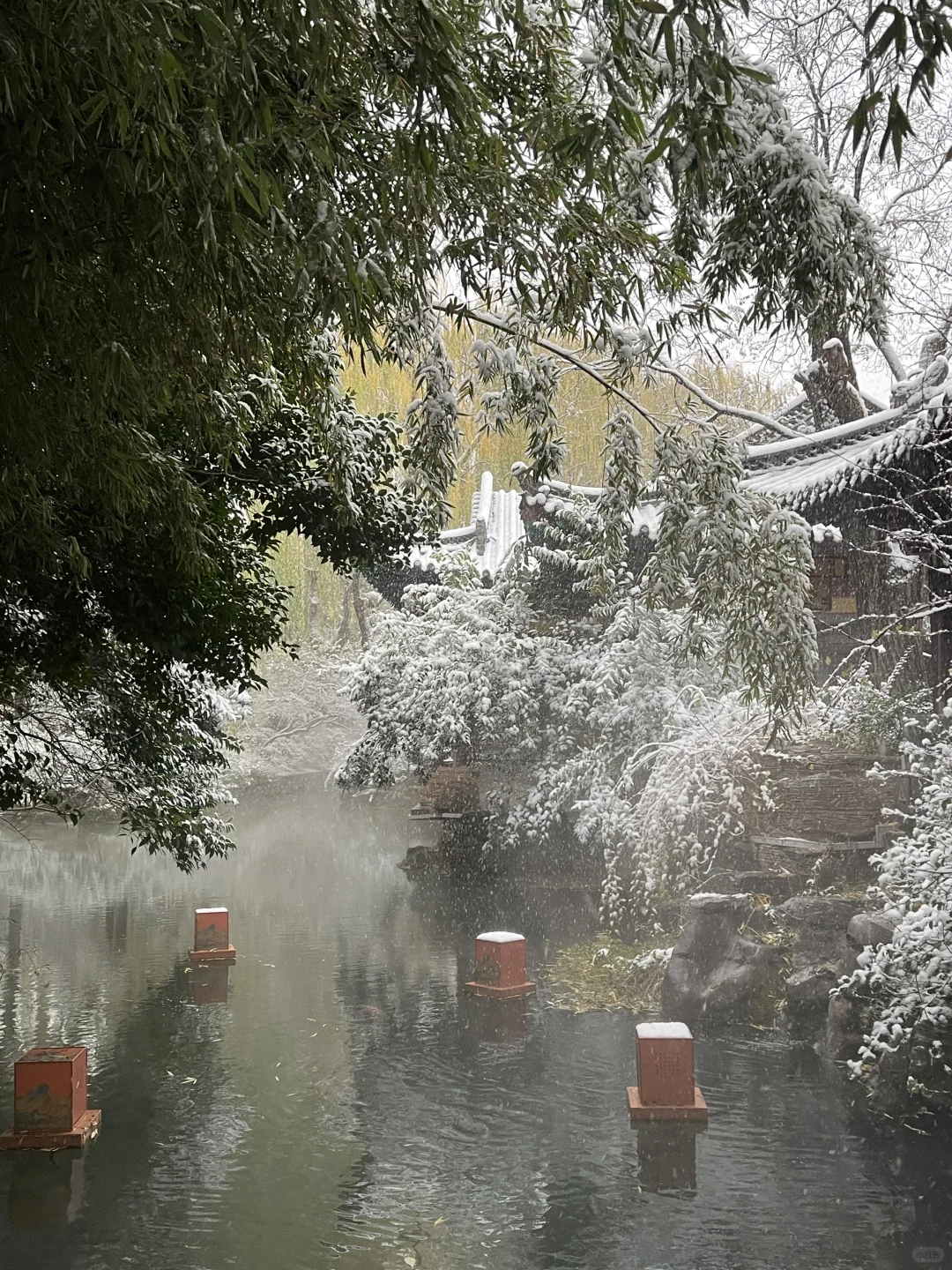 济南12.12实况。。。暴雪中的趵突泉杀疯了！！