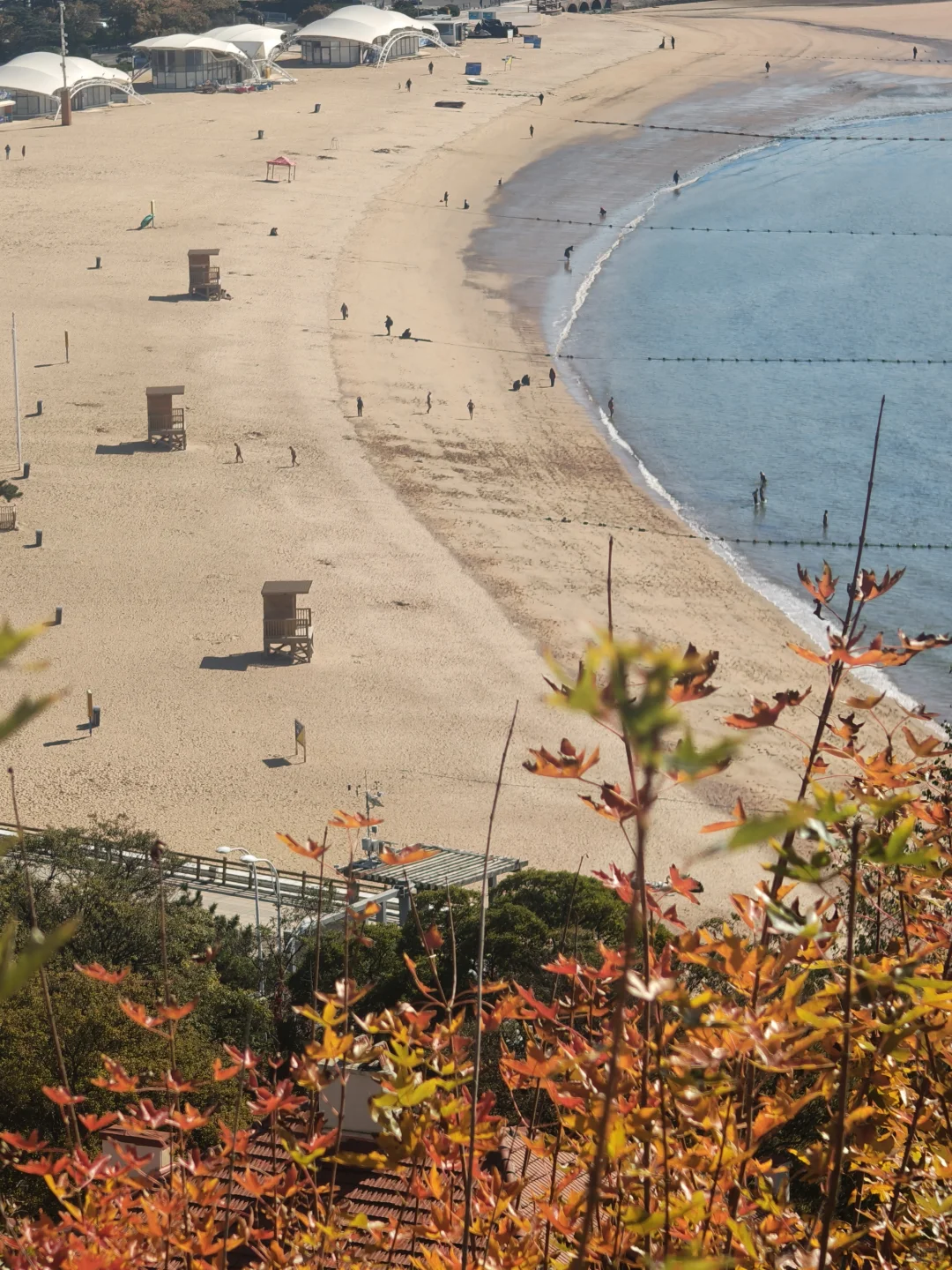 如果你只有一天时间在青岛