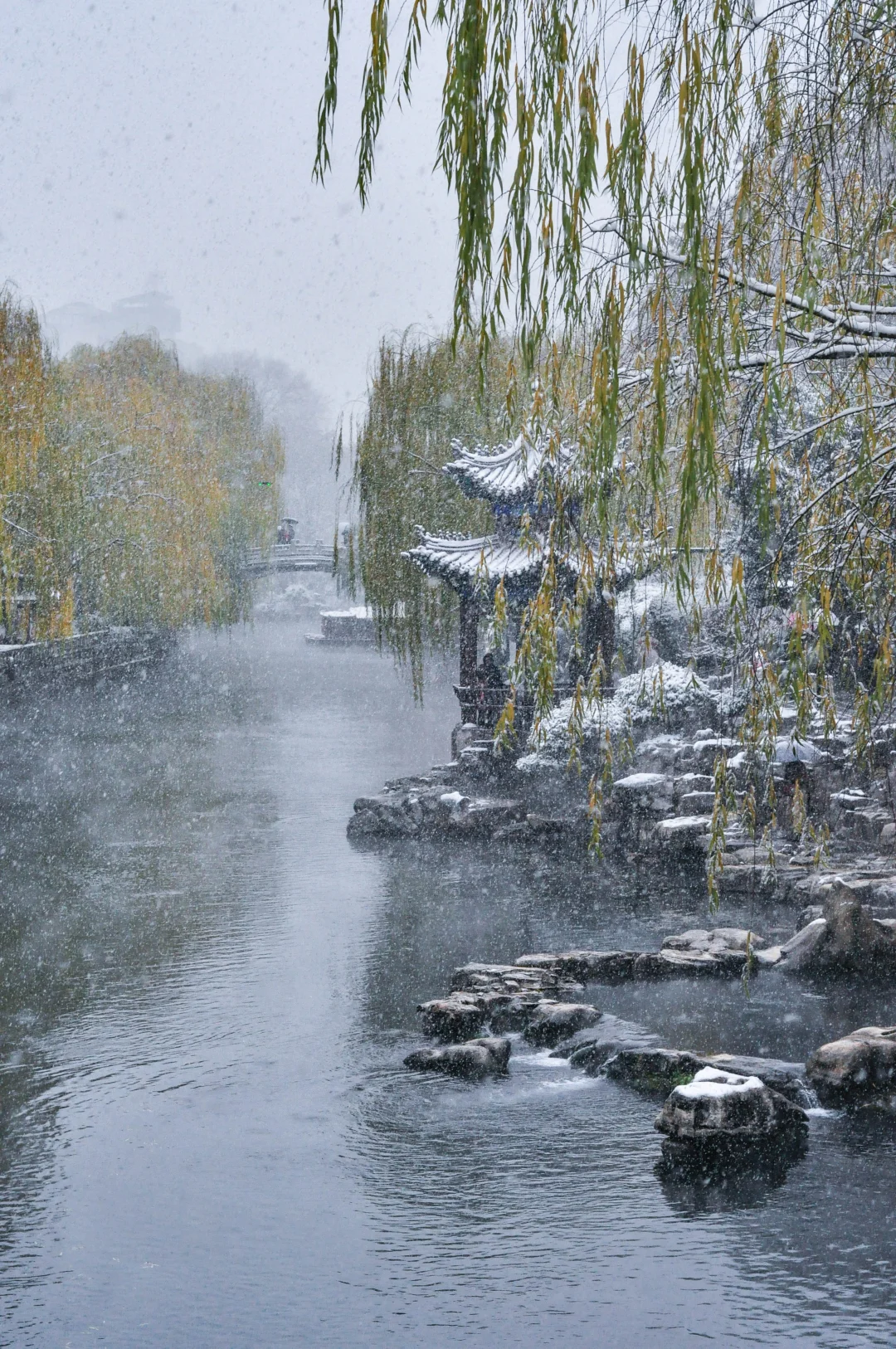 “这就是冬天的济南”