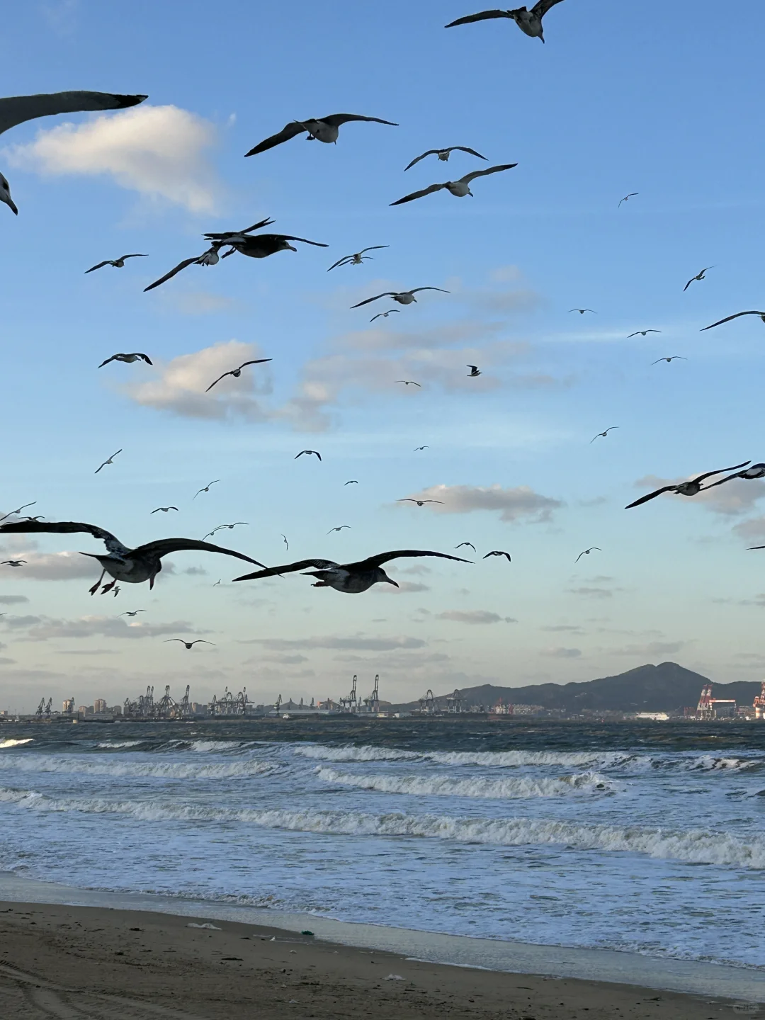 烟台！！12·11实拍！又是浪漫的一天啊