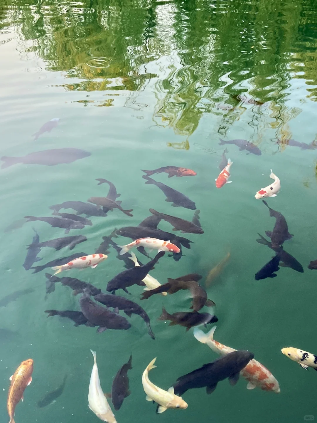 济南名副虚传，下次还来