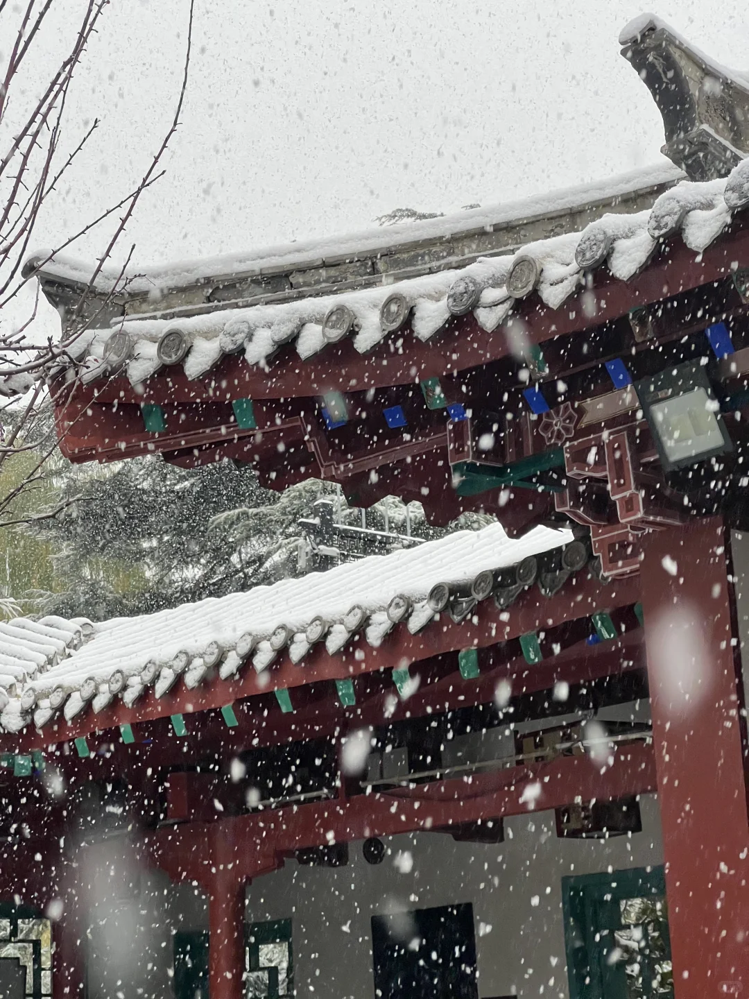 济南12.12实况。。。暴雪中的趵突泉杀疯了！！