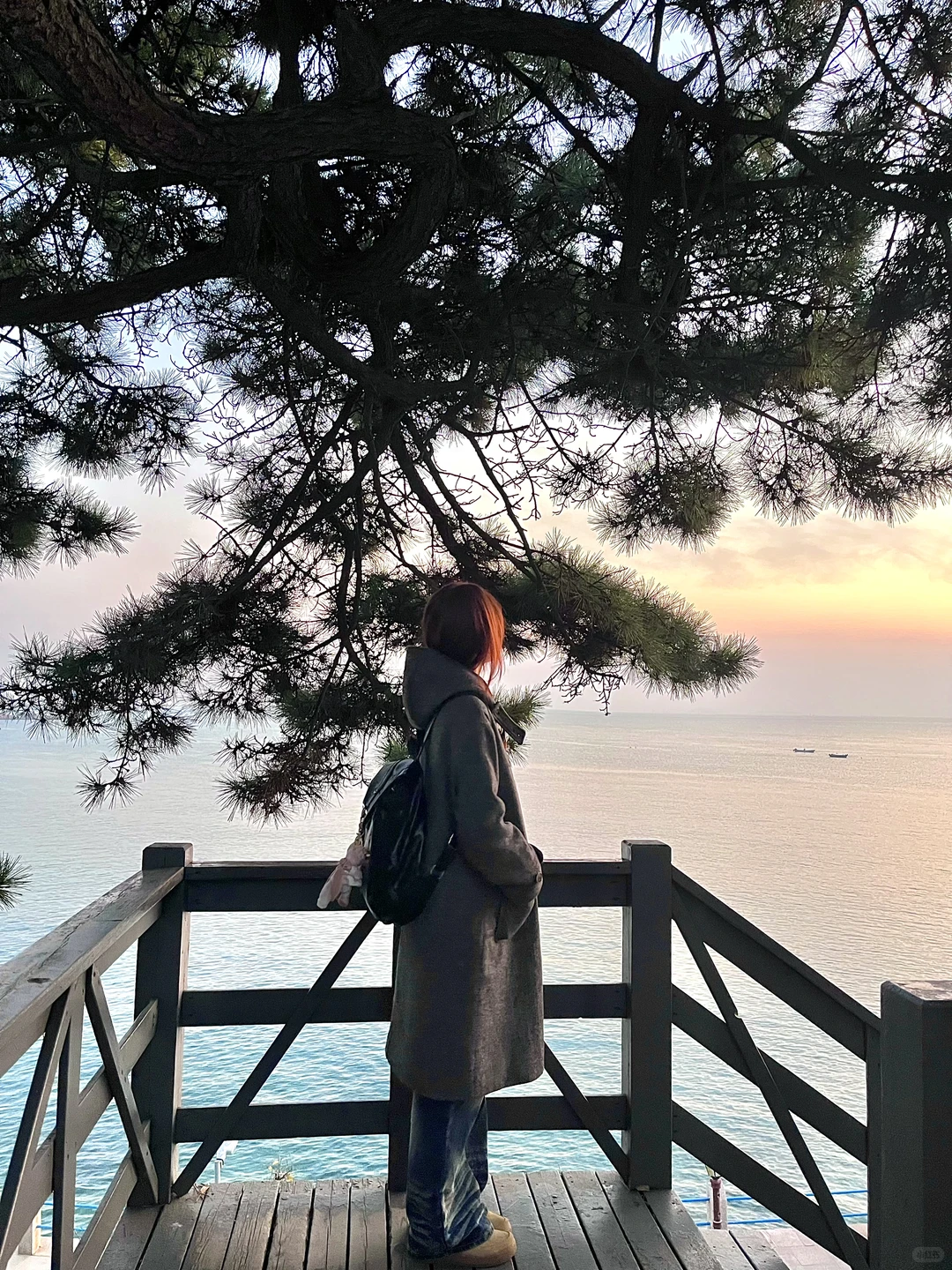 朋友圈分享｜随后我遇见了青岛的冬天