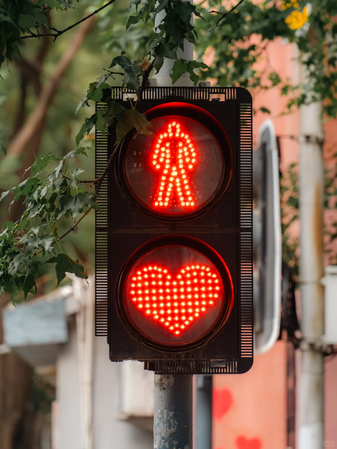 为了这18张照片📷特意去了趟济南（附机位）