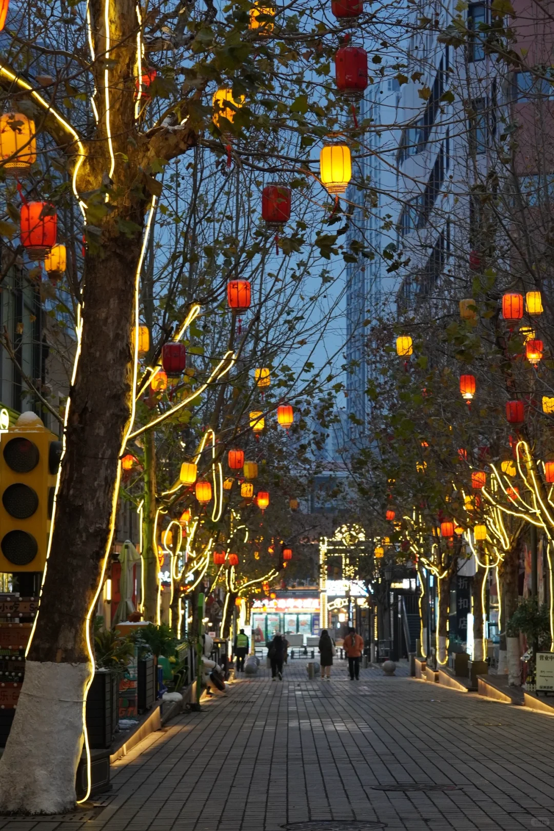 冬天一定要去一次青岛｜杭州出发周末攻略