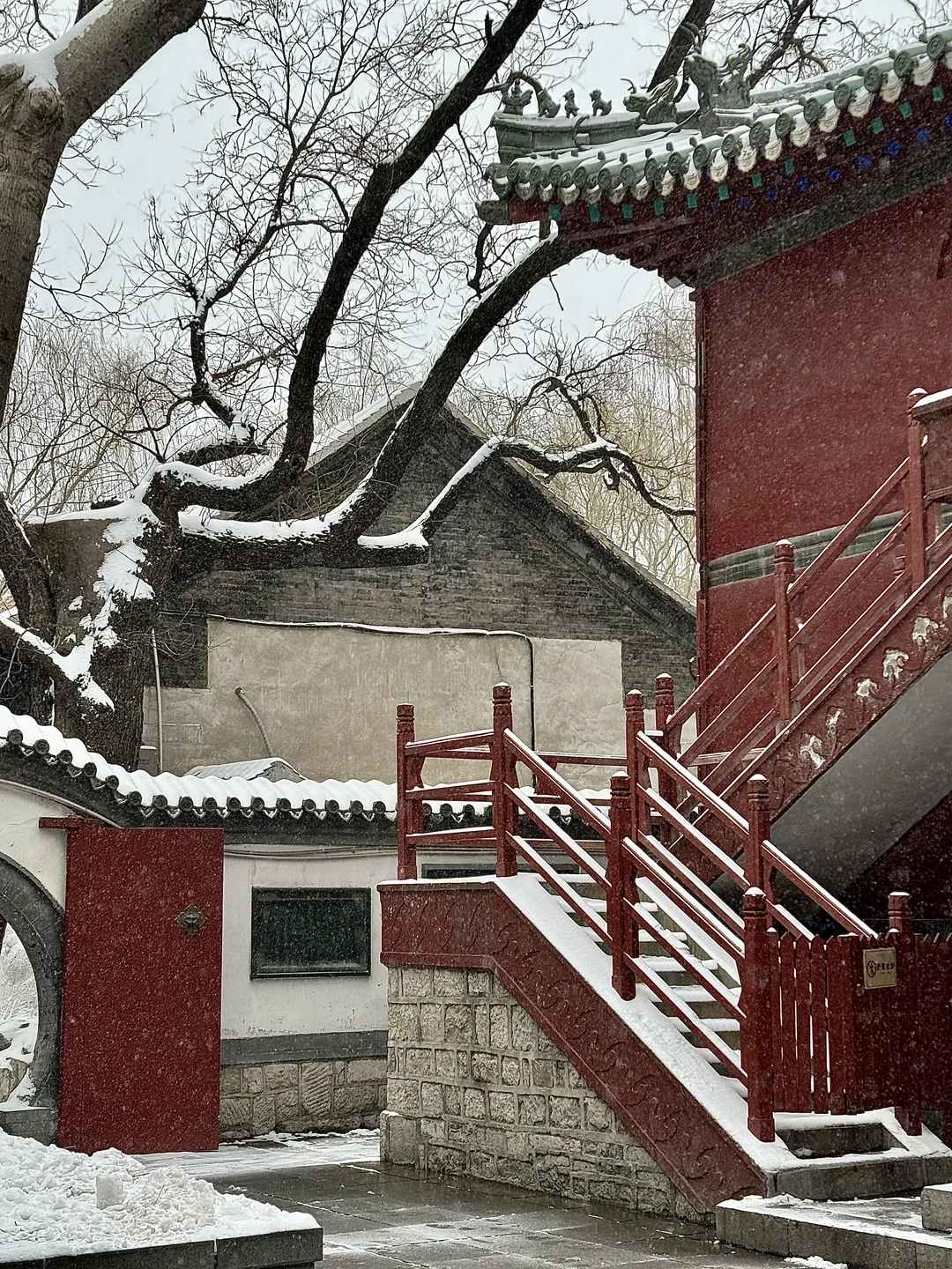 济南12.12实况，暴雪中的趵突泉已经美疯了….