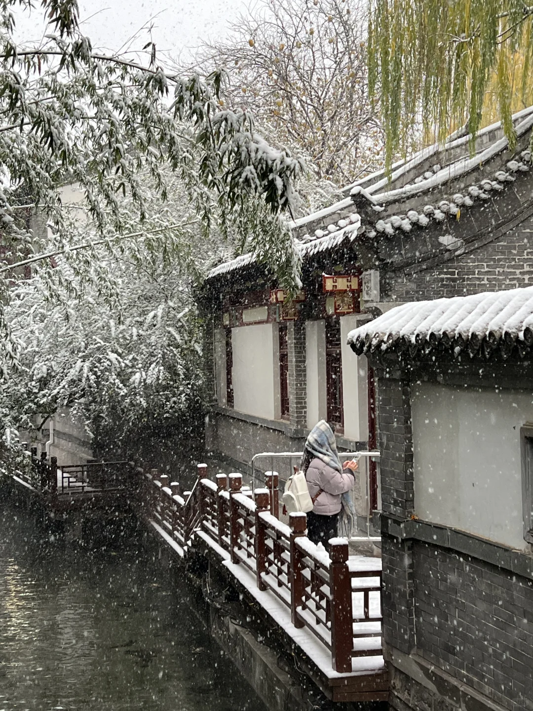 济南12.12实况。。。暴雪中的趵突泉杀疯了！！