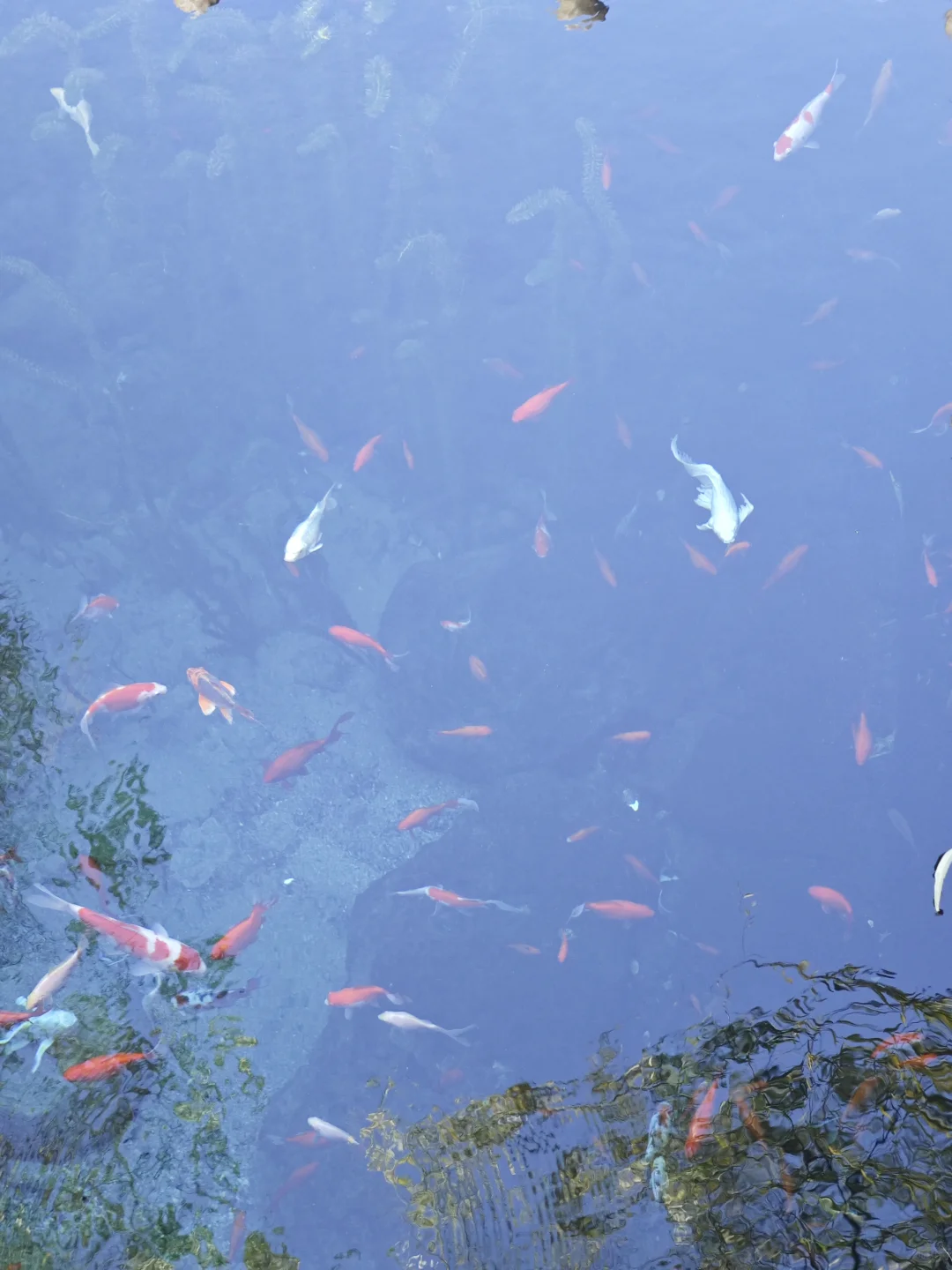 济南能量最强的地方