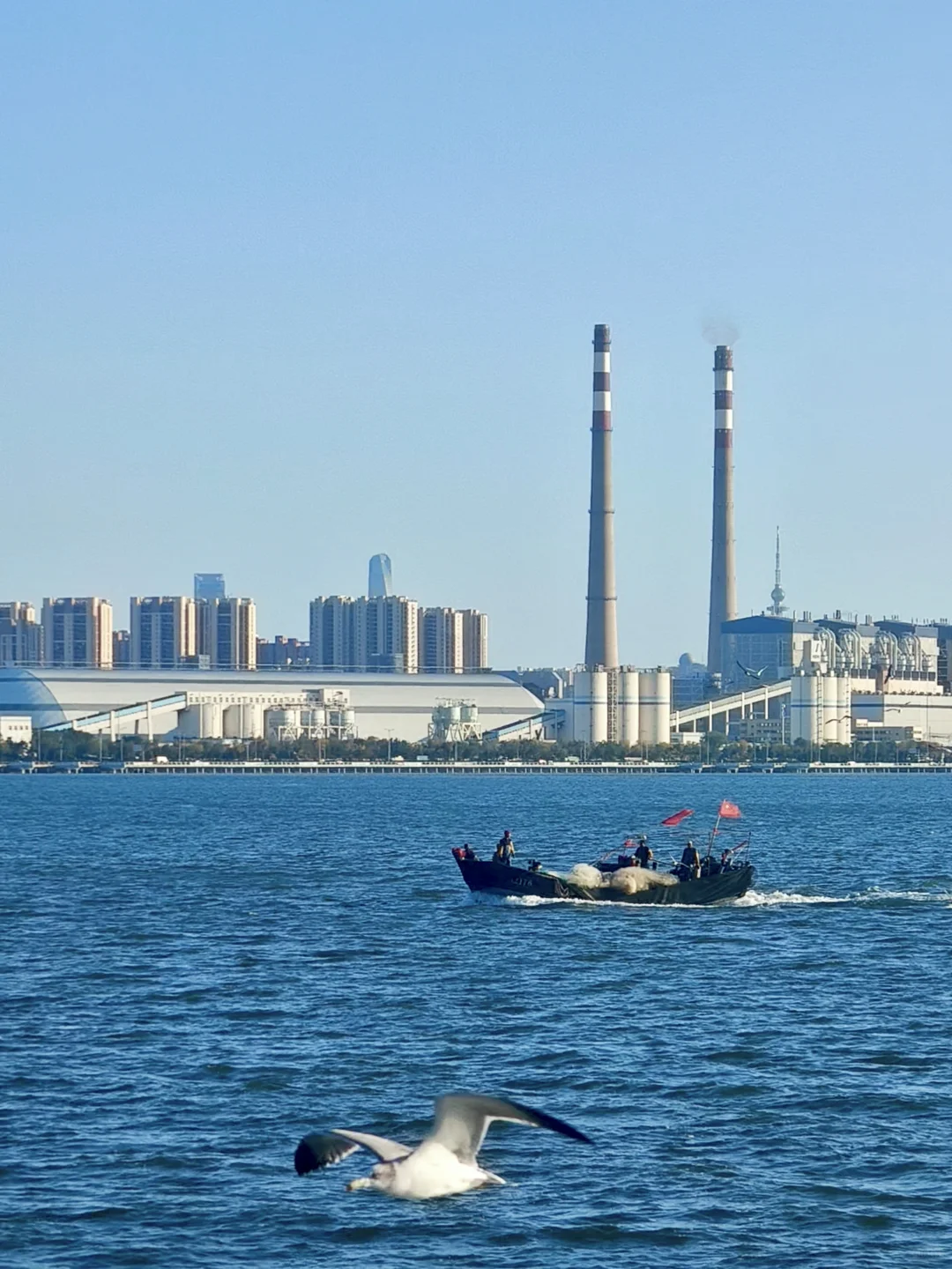 如果你只有一天时间在青岛