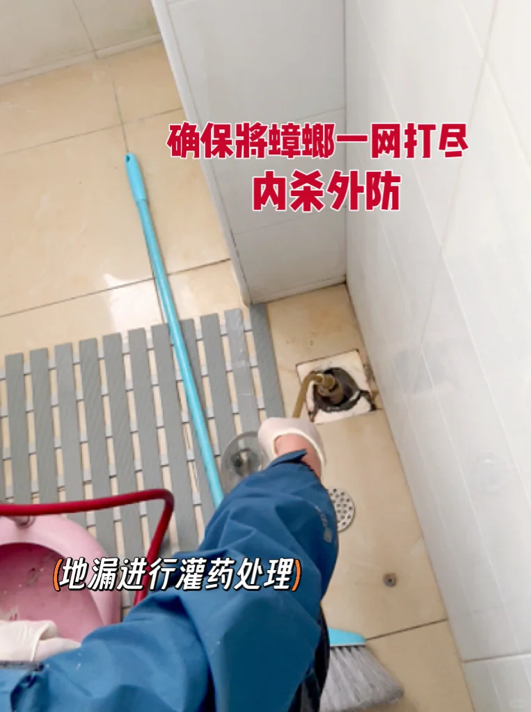 268的除虫套餐，千万别错过！（仅限济南）