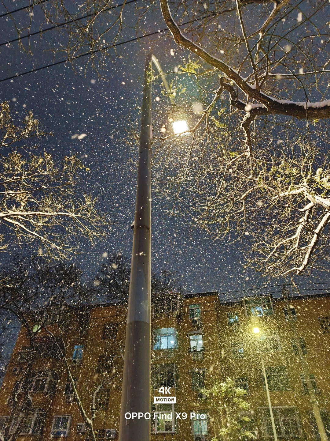 济南！！趵突泉的初雪真的杀疯了！😱