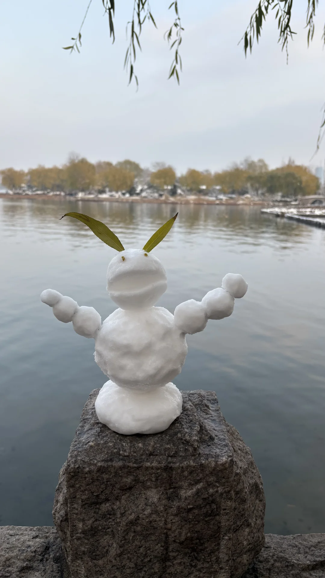 济南大明湖 大家真的太可爱了