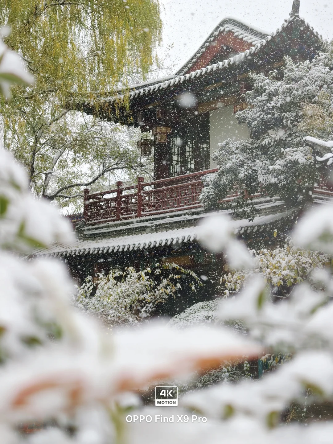 济南！！趵突泉的初雪真的杀疯了！😱