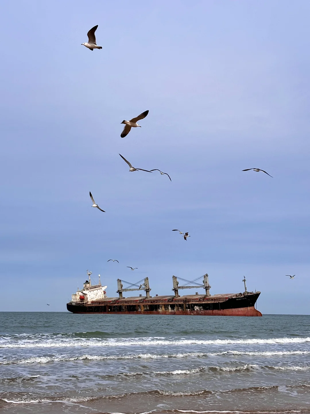 淡季青岛-济南-威海学生党攻略