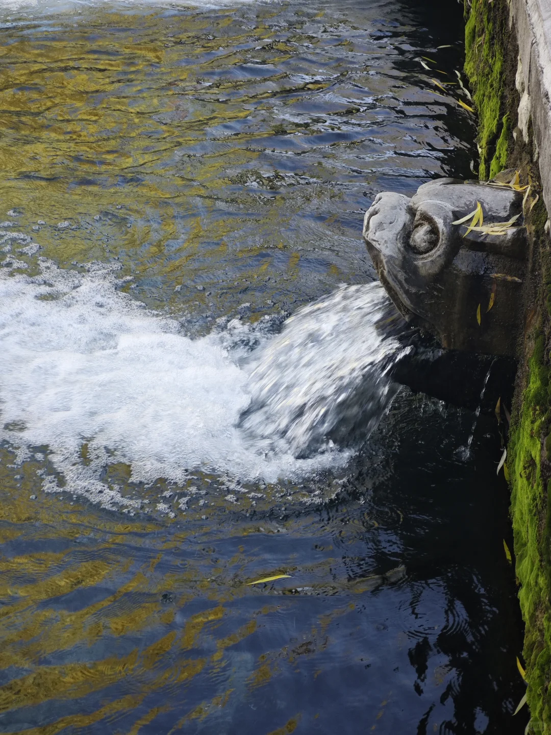 济南能量最强的地方