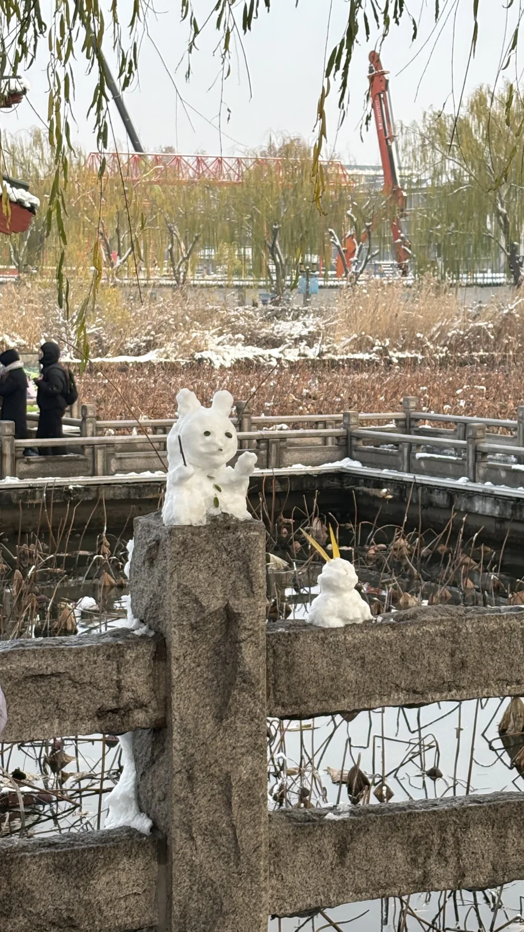 济南大明湖 大家真的太可爱了