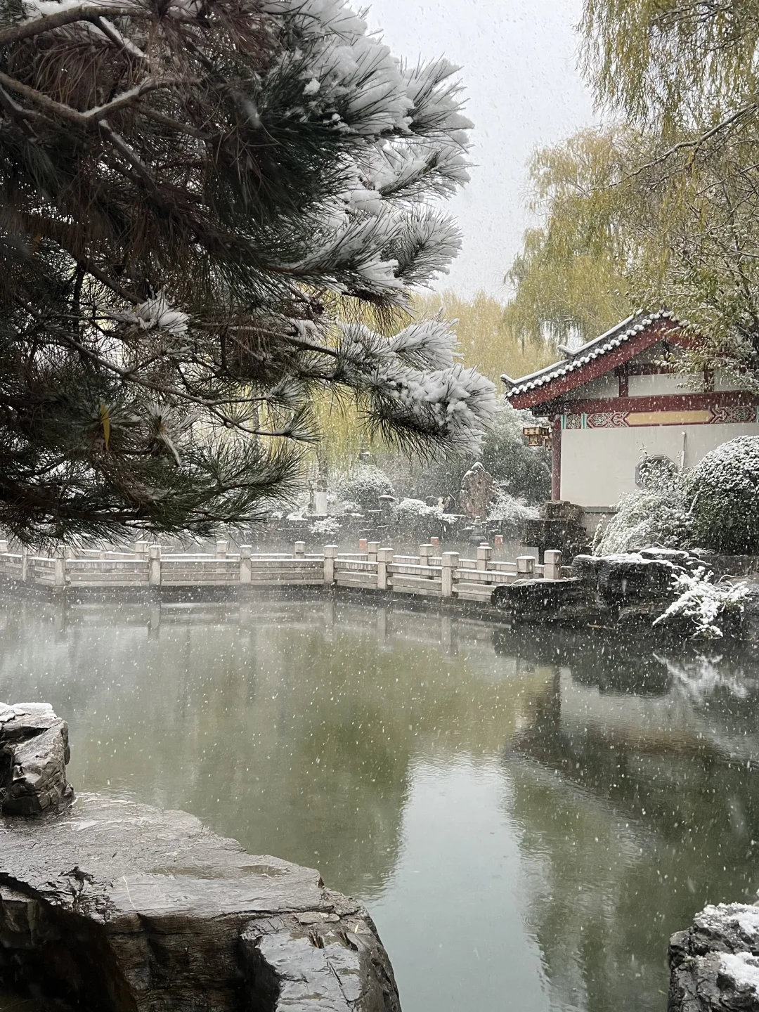 济南12.12实况。。。暴雪中的趵突泉杀疯了！！