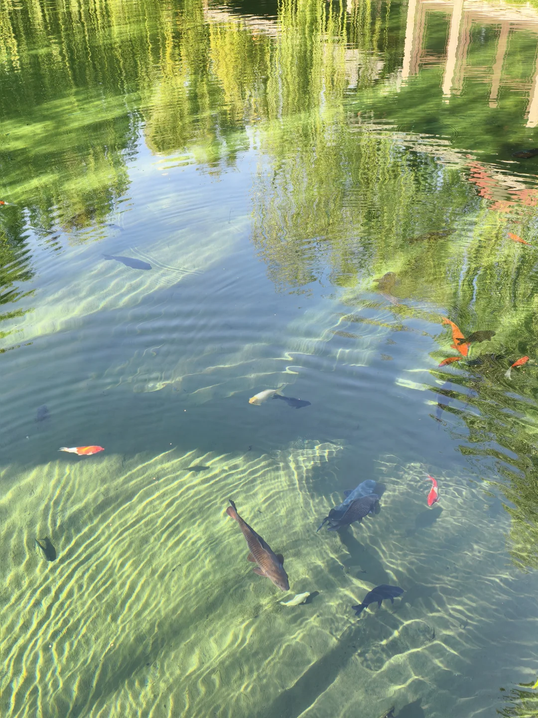 老舍没骗人秋天请到济南来看看吧