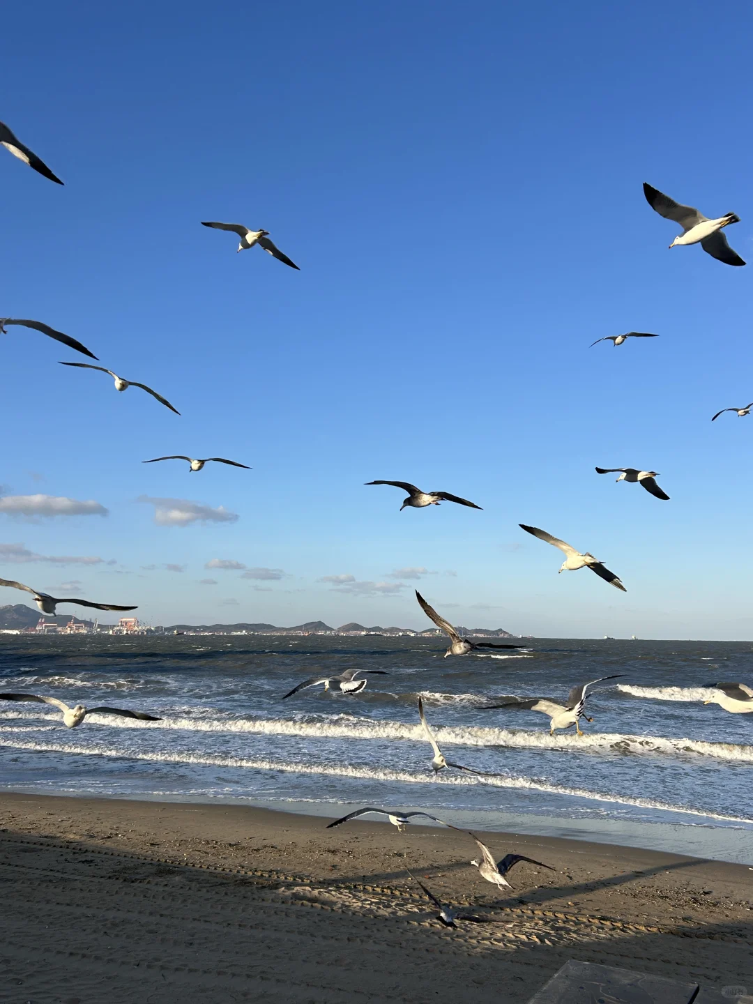 烟台！！12·11实拍！又是浪漫的一天啊