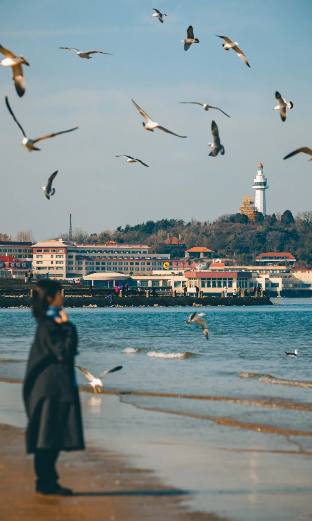 为了这1️⃣8️⃣个机位,我特地飞了✈️趟烟台~