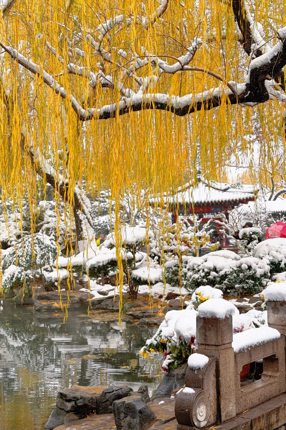 济南12.13实况，暴雪中的趵突泉已经美疯了