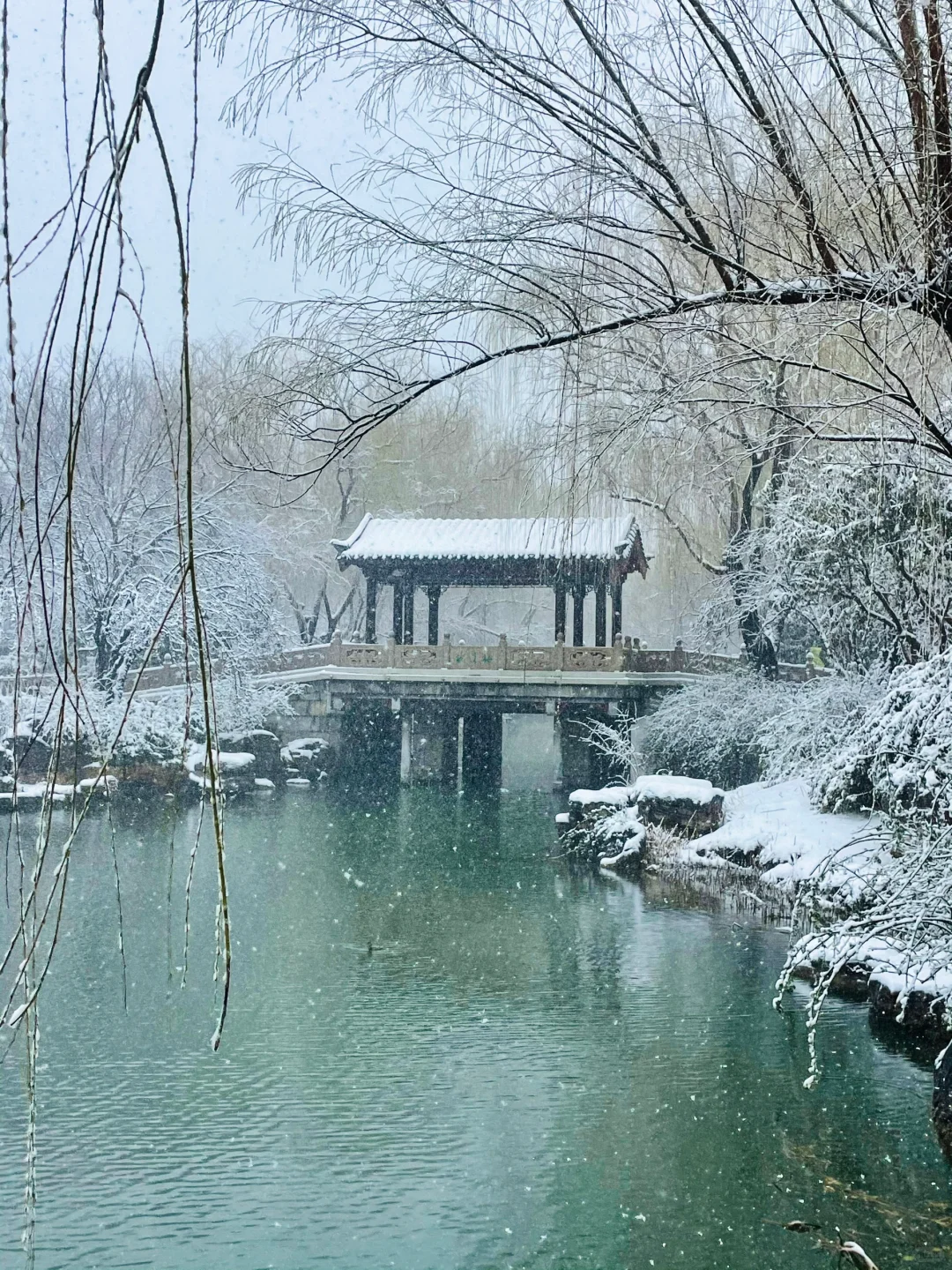 暴雪中的济南府已经美到了next level