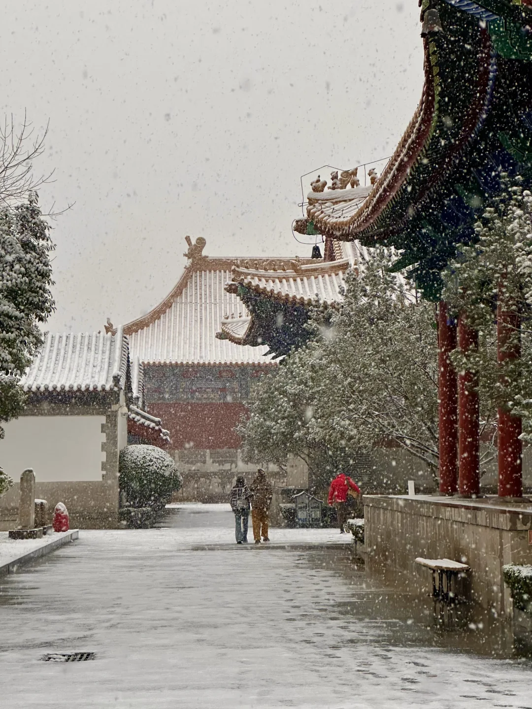 实况live！济南初雪❄️美疯了啊啊啊啊！！！！！