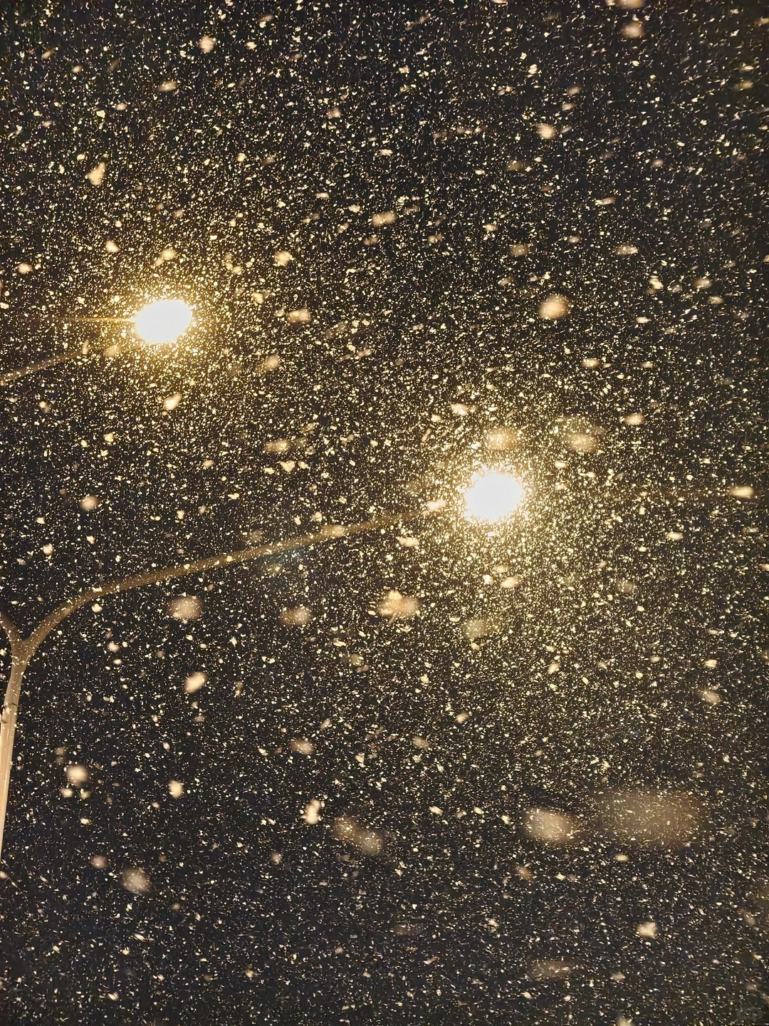 济南下雪，都拍照了吗？