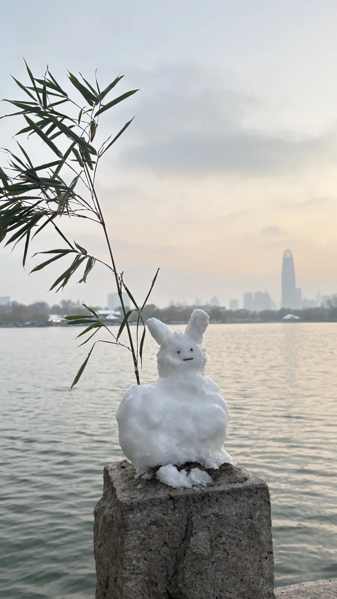 济南大明湖 大家真的太可爱了