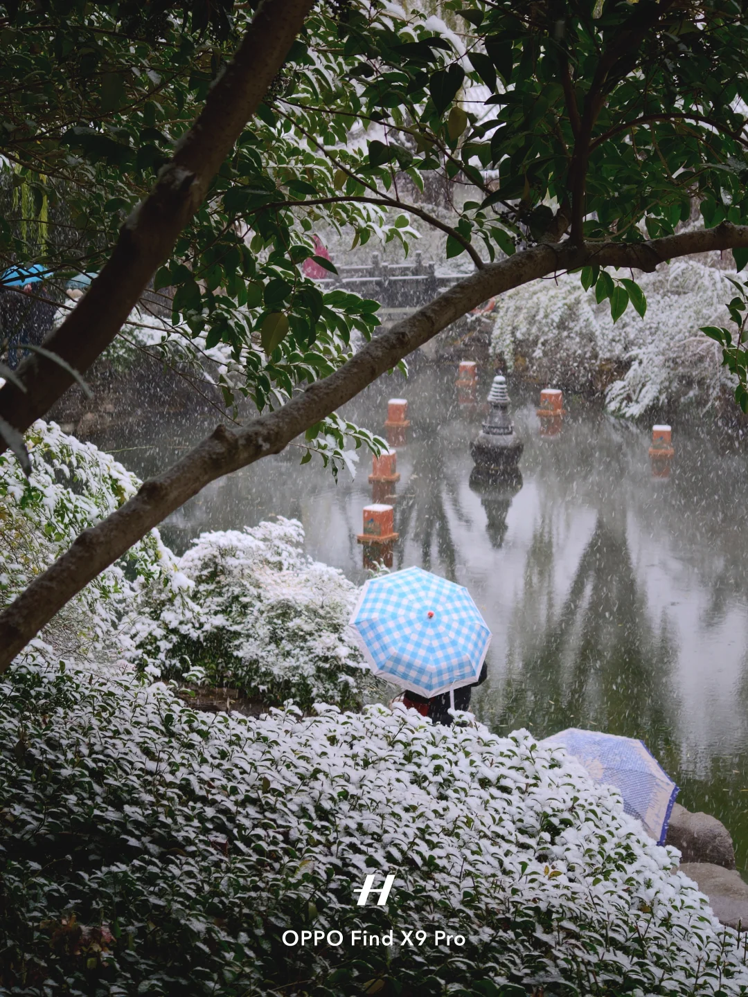 济南！！趵突泉的初雪真的杀疯了！😱