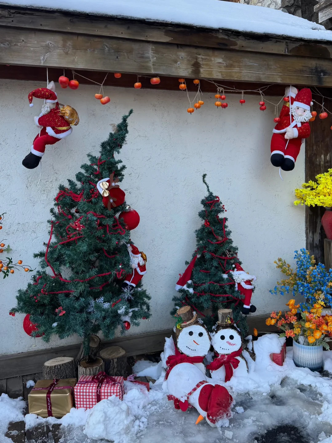 12.14九如山现状❄️