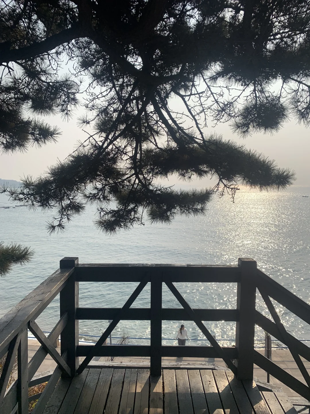 秋冬不露腿穿搭合集🌊青岛好美～下次还来！