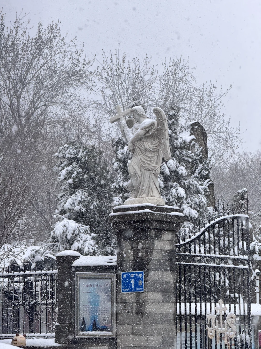 1212济南大雪实况！雪中的洪家楼教堂美呆了