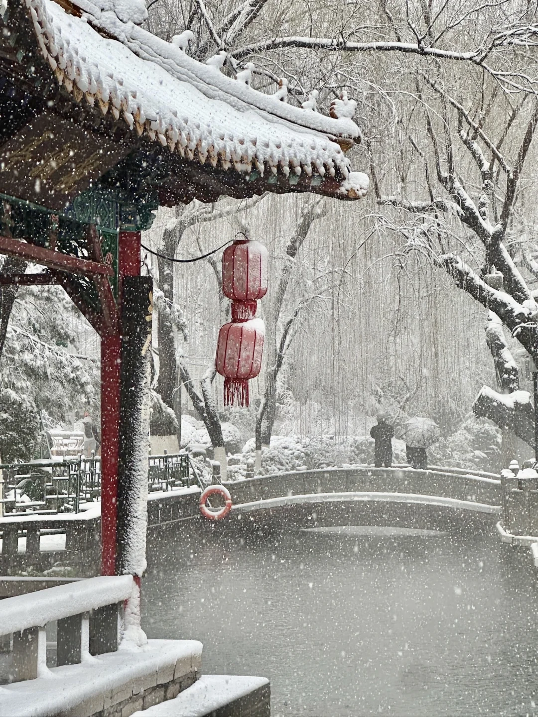 济南！雪中趵突泉杀疯了！！！！！！！！！！！！