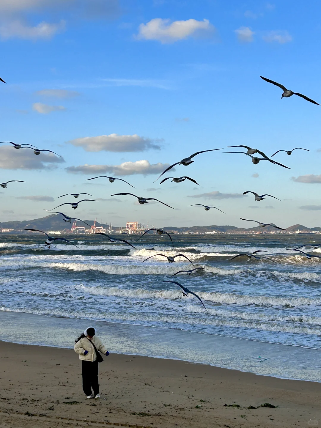 烟台！！12·11实拍！又是浪漫的一天啊