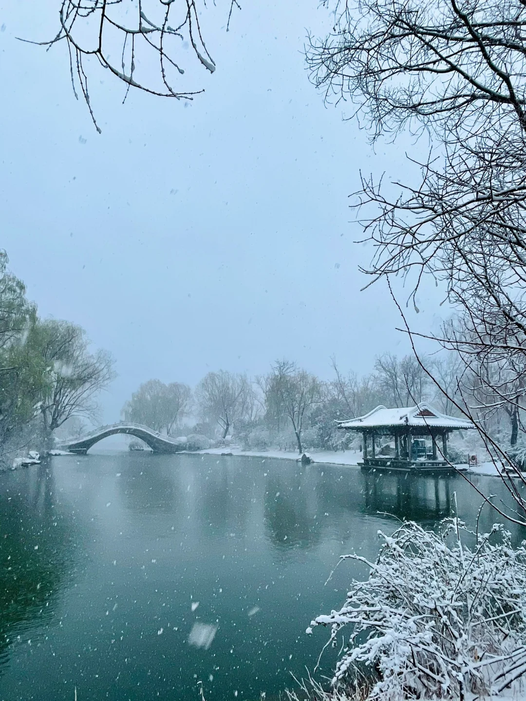 暴雪中的济南府已经美到了next level