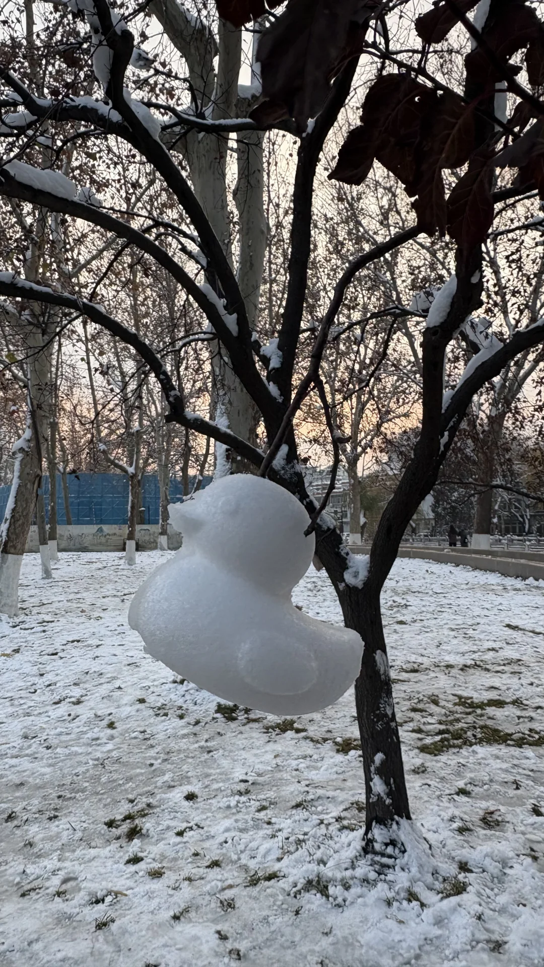 济南大明湖 大家真的太可爱了