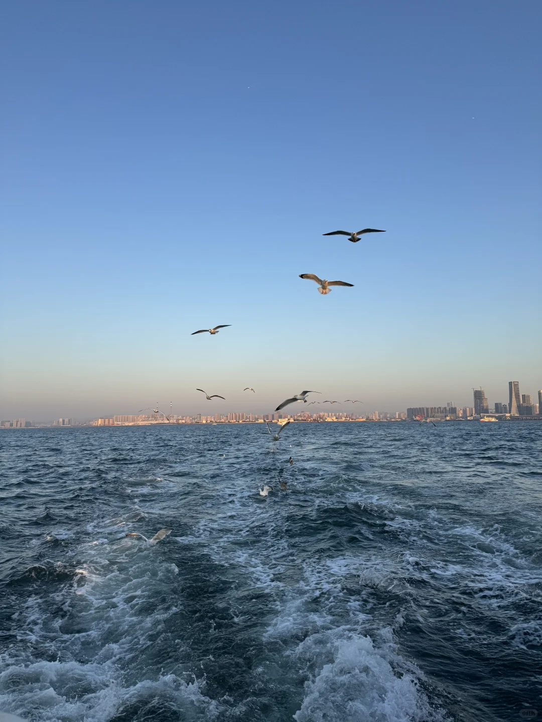 青岛轮渡⛴️与陆地失联的三十分钟