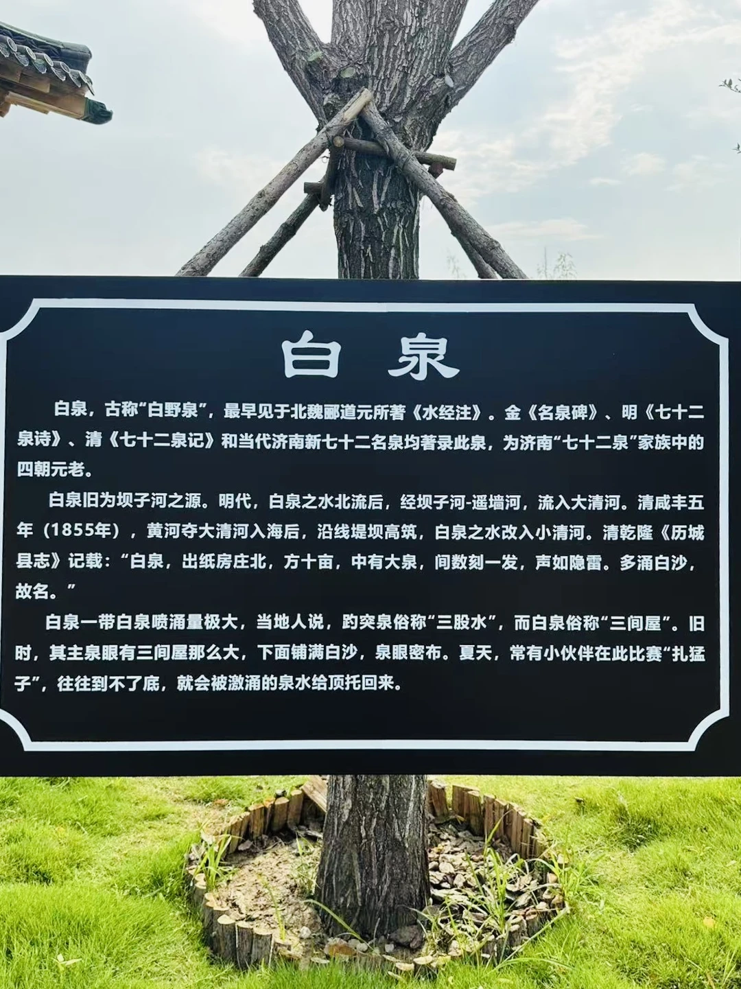 ⛲️济南“白泉”也太美了吧｜失而复得的泉水