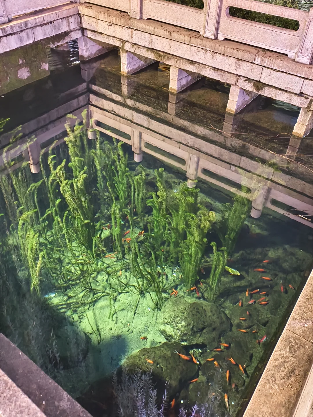 老舍没骗人秋天请到济南来看看吧