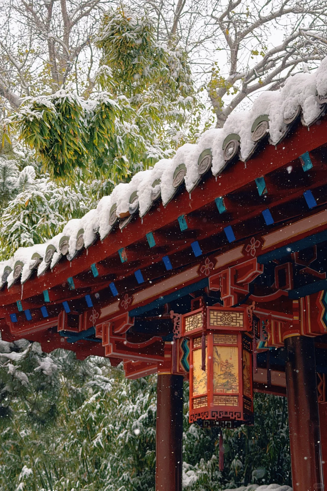 济南12.13实况，暴雪中的趵突泉已经美疯了